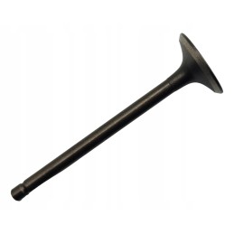 Exhaust valve 300 linhai cf moto 260 300