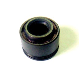 Valve seal atv 200 250 kinroad shineray