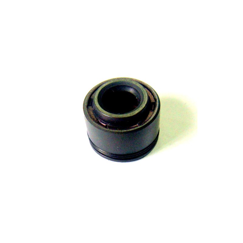Valve seal atv 200 250 kinroad shineray