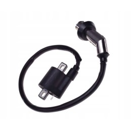 Ignition coil bashan shineray atv 250 stxe quad