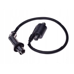 Ignition coil bashan shineray atv 250 stxe quad