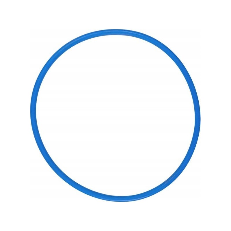 Cylinder liner gasket 270071010102