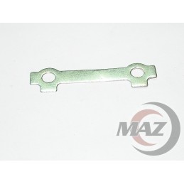 Bashan eagle cheese protection