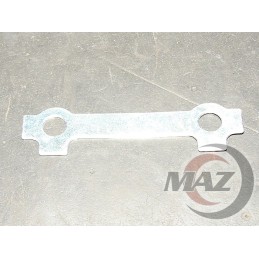 Bashan eagle cheese protection