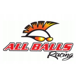 All balls bearing can am ds450 outlander renegade 400 500