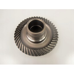 Gear differential yamaha timberwolf yfb 250 92 00