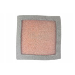 Twin air air filter Polaris 500 predator