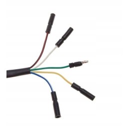 Spark stator cross 110 125cc 2 coils