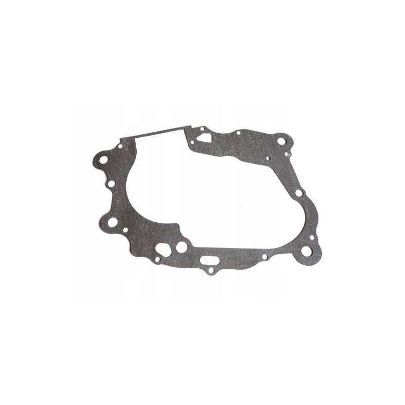 Quad ATV 250 Stxe crankcase seal