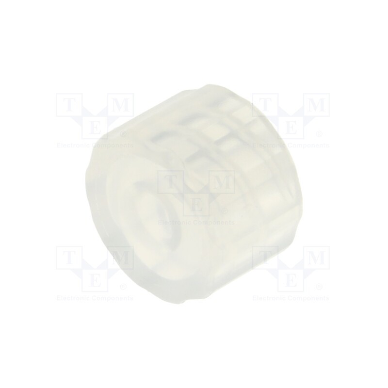 1 pcs x FISNAR - 560710 - Adapter, transparent, Luer Lock, FIS-560548U-300ML