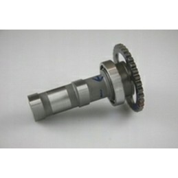 Hot cams camshaft Kawasaki KXF 250 11 14 suction