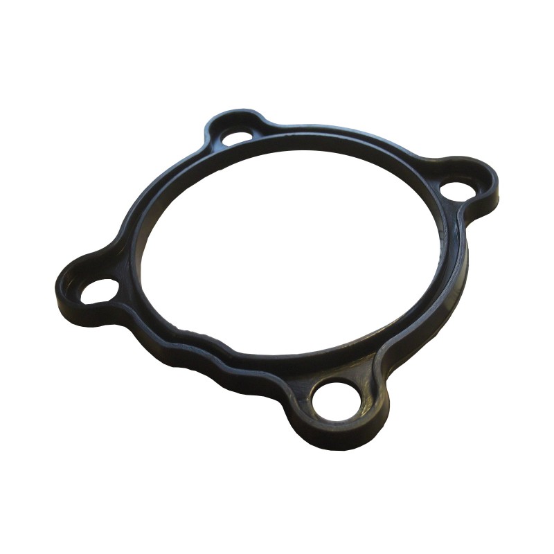 Variator gasket on the Yamaha Grizzly 660 gearbox