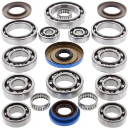 Polaris Ace 570 4wd differential repair kit