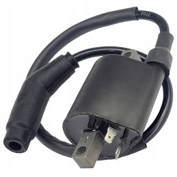 Ignition coil atv quad keeway gtx linhai benyco buyang allroad 260 300