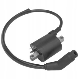 Ignition coil atv quad keeway gtx linhai benyco buyang allroad 260 300