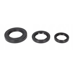 Set of rear differential seals for Kawasaki KLF