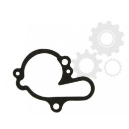 Water pump gasket minarelli am6 ip000315