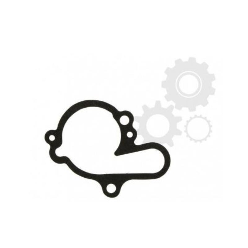 Water pump gasket minarelli am6 ip000315