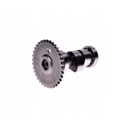 Camshaft for shineray atv250 st 9c
