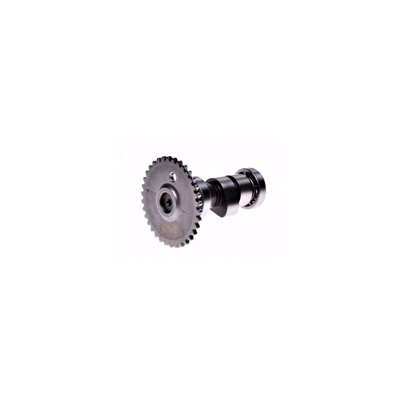 Camshaft for shineray atv250 st 9c
