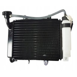 Quad radiator Bashan BS250AS 43 set with fan
