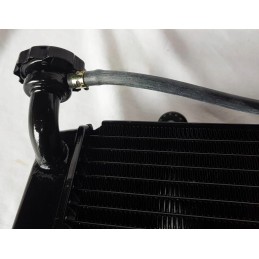 Quad radiator Bashan BS250AS 43 set with fan