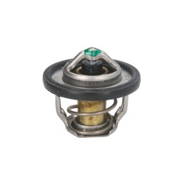 tourmax tmt 304 thermostat
