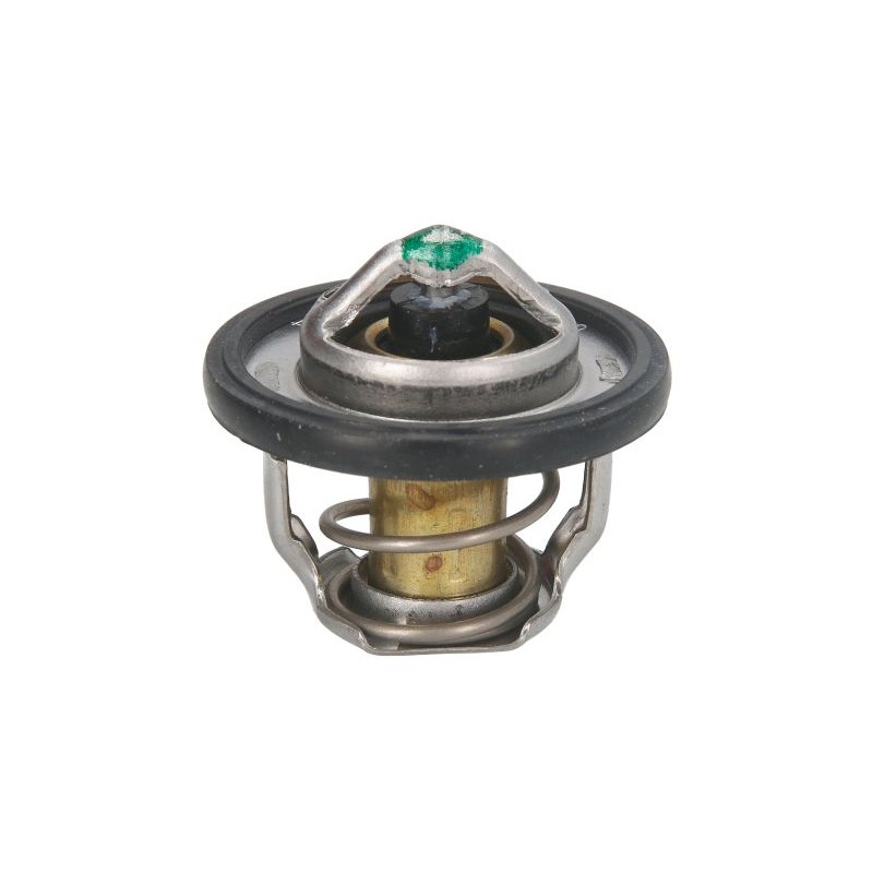 tourmax tmt 304 thermostat