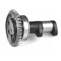 Hot cams camshaft yamaha yz wrf 400 426