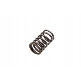 Valve spring gy 6 50 4t 139qmb external benzer baotian barton kinroa