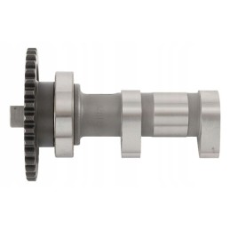 Hot cams camshaft suzuki ltr450 06 09