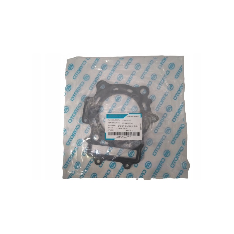Head gasket cf moto allroad 500