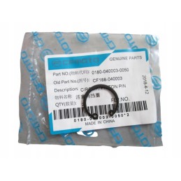 Cf moto allroad 500 piston pin protection