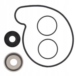 Polaris RZR 1000 14 15 water pump repair kit