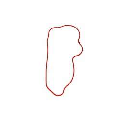 Valve cover gasket Polaris 700 800 RZr spor