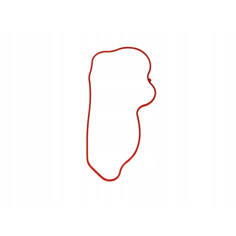 Valve cover gasket Polaris 700 800 RZr spor