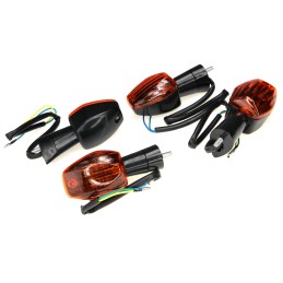 Turn signal indicators quad atv bashan