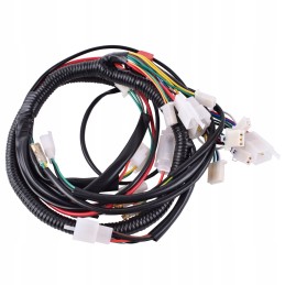 Installation main harness atv 150cc 157qmi diablo