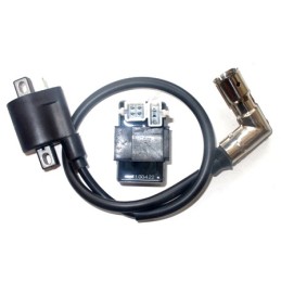 Eagle ignition kit, coil, CDI module, original