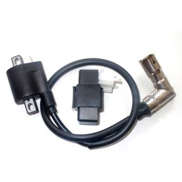 Eagle ignition kit, coil, CDI module, original