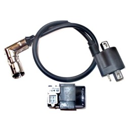 Eagle ignition kit, coil, CDI module, original