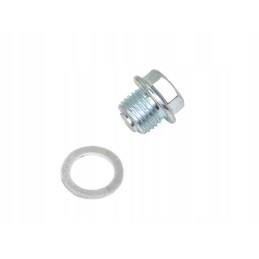 Timing chain tensioner bolt ATV Cros Street