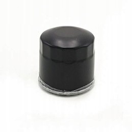 Oil filter cf moto 500 x5