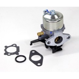 Carburetor for Briggs Stratton 700 750 dov lawn mower
