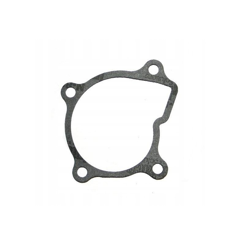 Water pump gasket atv cf moto cforce