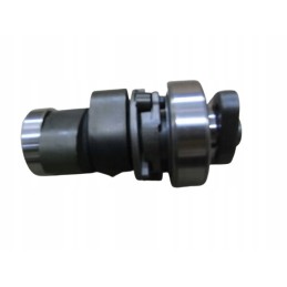 Camshaft sym quadraider 600