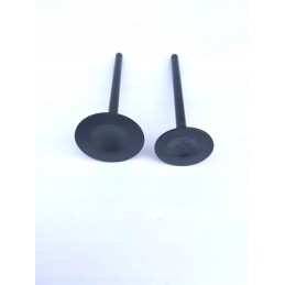 Exhaust intake valves quad atv loncin 250 lc170fmm