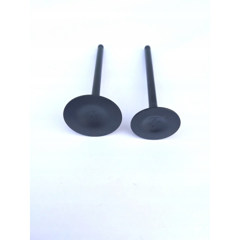 Exhaust intake valves quad atv loncin 250 lc170fmm