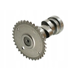 Camshaft atv 150 gy6150 diablo fux