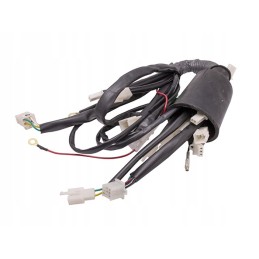 Barton Eagle Quad At wiring harness installation